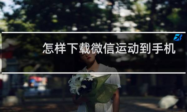 怎样下载微信运动到手机上图片