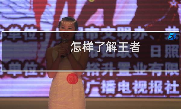 怎样了解王者图片
