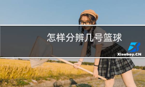 怎样分辨几号篮球图片