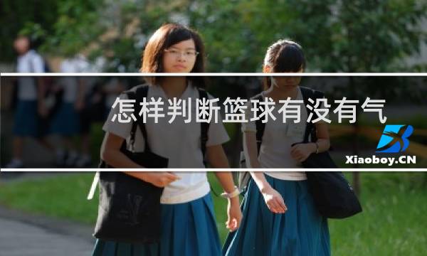 怎样判断篮球有没有气图片