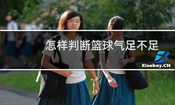 怎样判断篮球气足不足图片