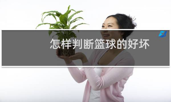 怎样判断篮球的好坏图片