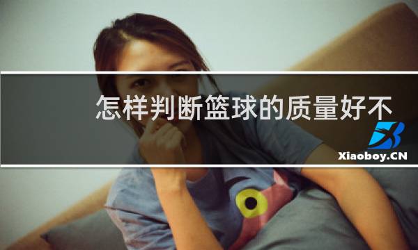 怎样判断篮球的质量好不好图片