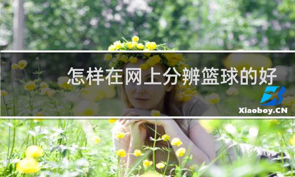 怎样在网上分辨篮球的好坏图片