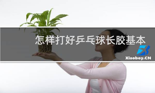 怎样打好乒乓球长胶基本功图片