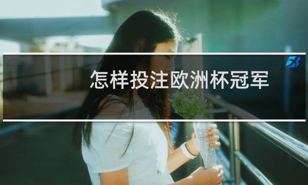 怎样投注欧洲杯冠军图片