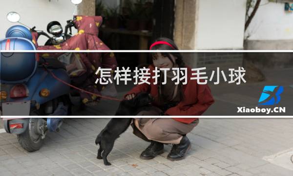 怎样接打羽毛小球图片