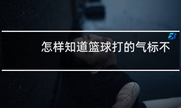 怎样知道篮球打的气标不标准图片