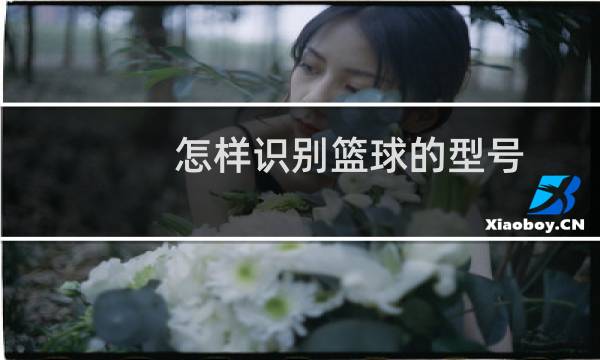怎样识别篮球的型号图片