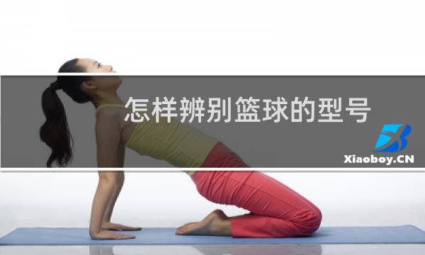 怎样辨别篮球的型号图片