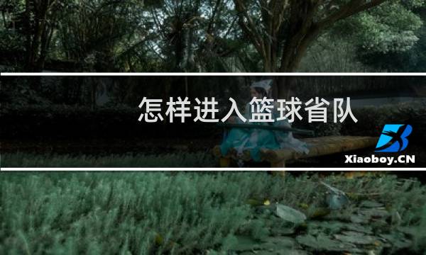 怎样进入篮球省队图片