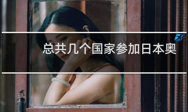 总共几个国家参加日本奥运会图片