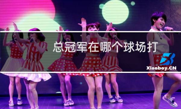 总冠军在哪个球场打图片