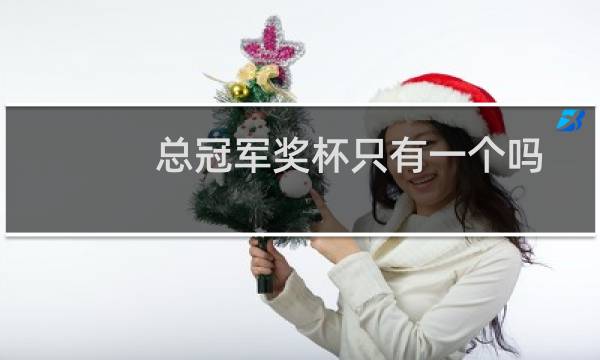 总冠军奖杯只有一个吗图片