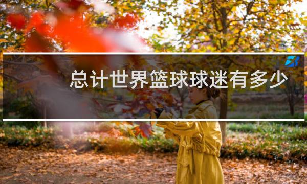 总计世界篮球球迷有多少图片