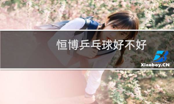 恒博乒乓球好不好图片
