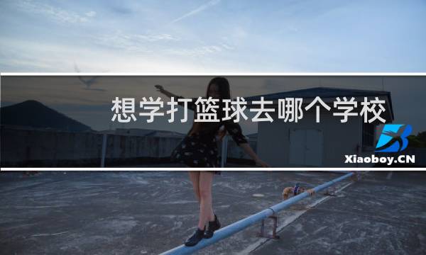 想学打篮球去哪个学校图片