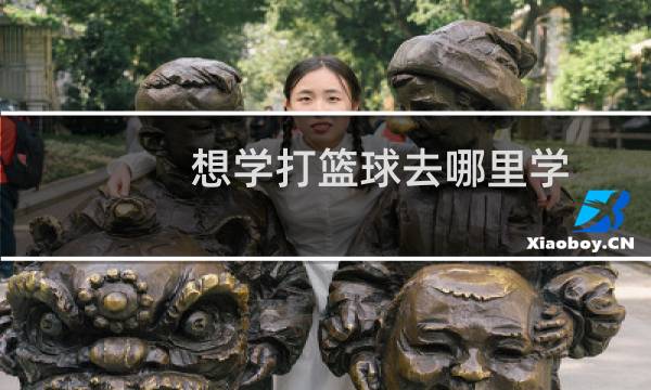 想学打篮球去哪里学图片