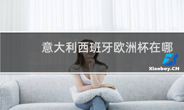 意大利西班牙欧洲杯在哪踢图片