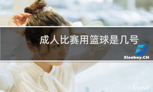 成人比赛用篮球是几号图片