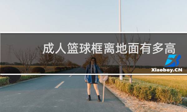 成人篮球框离地面有多高图片