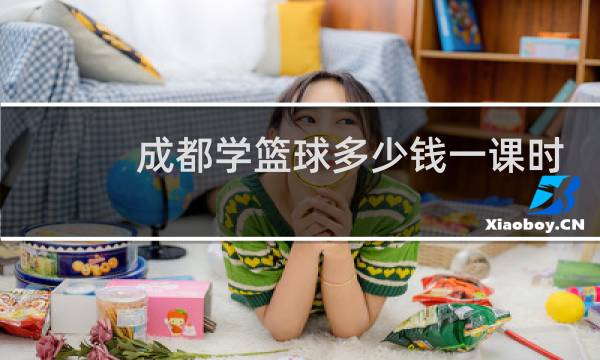 成都学篮球多少钱一课时呢图片