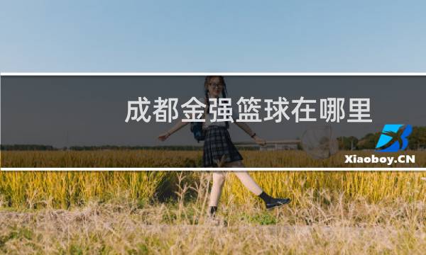 成都金强篮球在哪里图片
