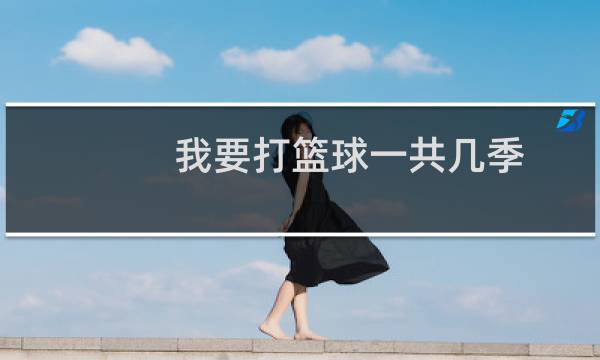 我要打篮球一共几季图片