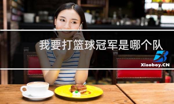 我要打篮球冠军是哪个队图片