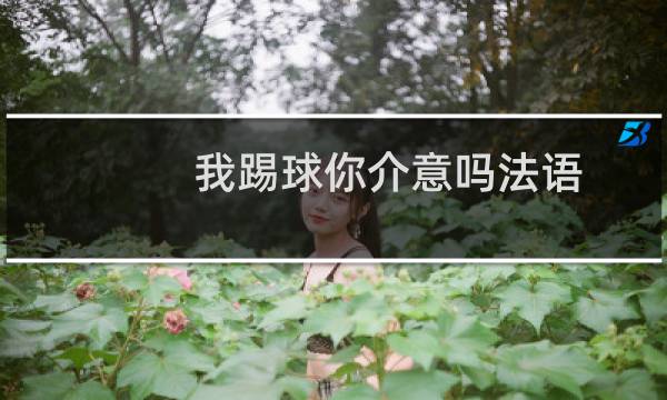 我踢球你介意吗法语图片