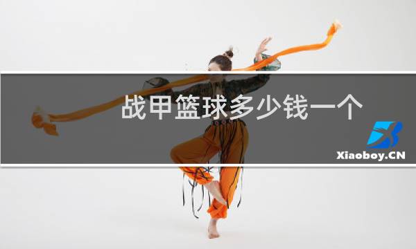 战甲篮球多少钱一个图片