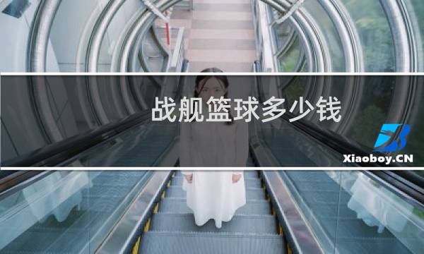 战舰篮球多少钱图片
