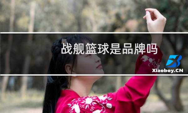 战舰篮球是品牌吗图片