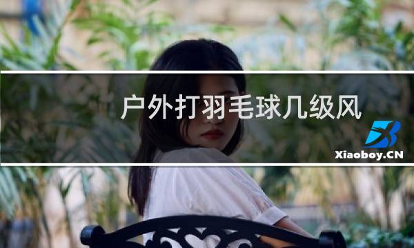户外打羽毛球几级风图片