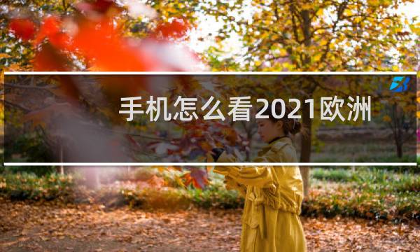 手机怎么看2021欧洲杯直播图片