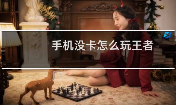 手机没卡怎么玩王者图片