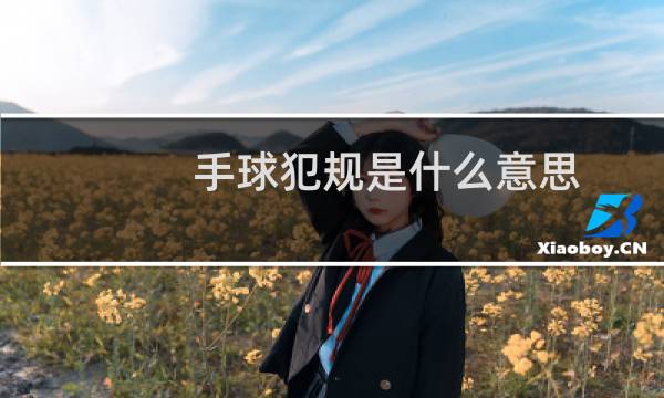 手球犯规是什么意思图片