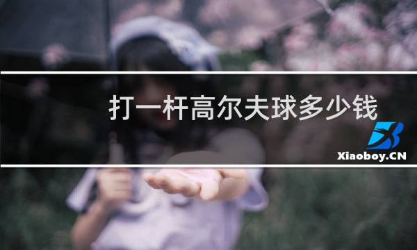 打一杆高尔夫球多少钱图片