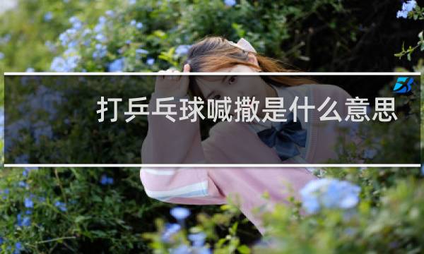 打乒乓球喊撒是什么意思图片