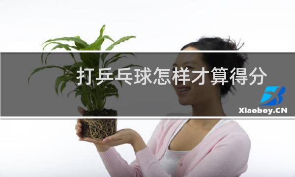 打乒乓球怎样才算得分图片