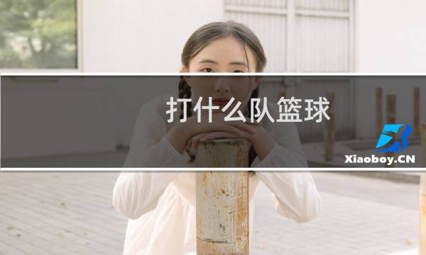 打什么队篮球图片