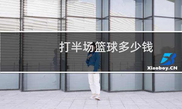 打半场篮球多少钱图片