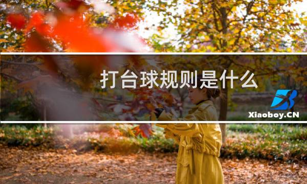 打台球规则是什么图片