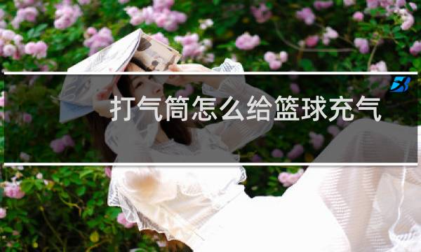 打气筒怎么给篮球充气图片