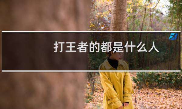 打王者的都是什么人图片