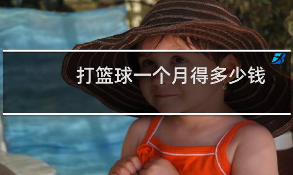 打篮球一个月得多少钱图片