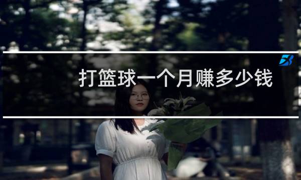 打篮球一个月赚多少钱图片