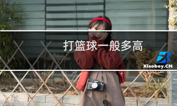 打篮球一般多高图片