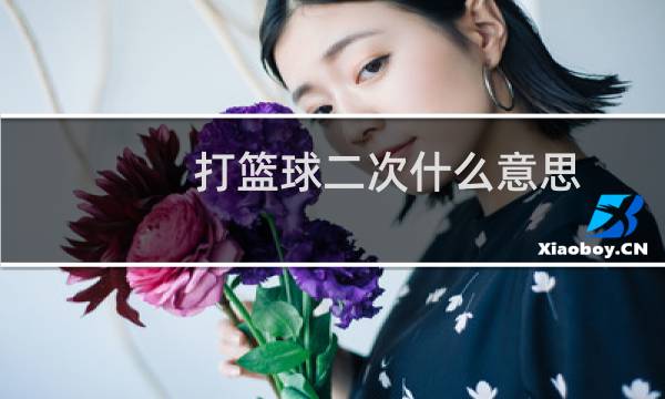 打篮球二次什么意思图片