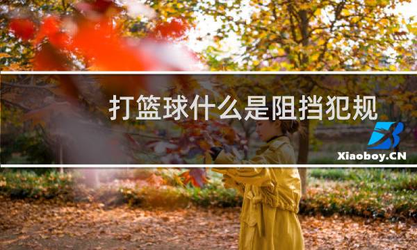打篮球什么是阻挡犯规图片